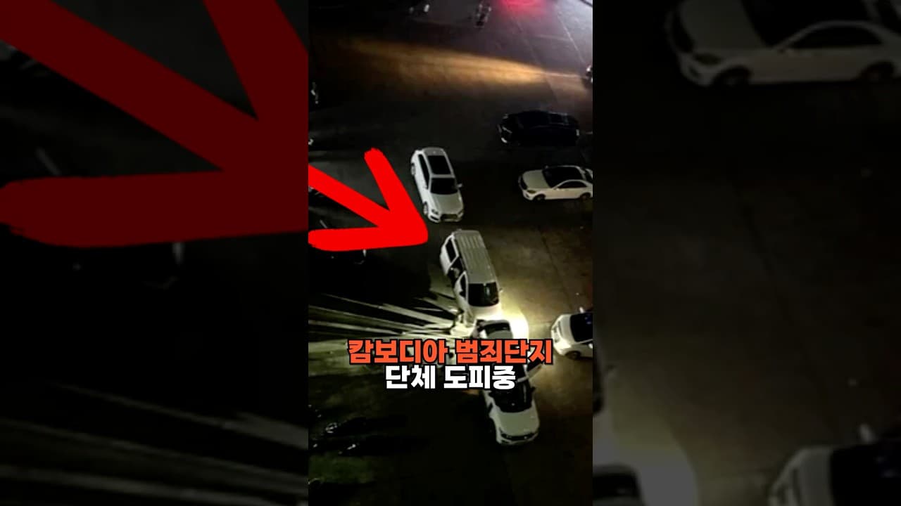 캄보디아 범죄단지 범죄자들 단체 도피중