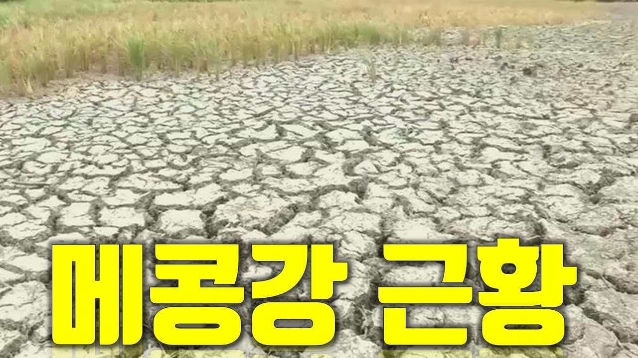 바닥까지 말라버린 메콩강 근황