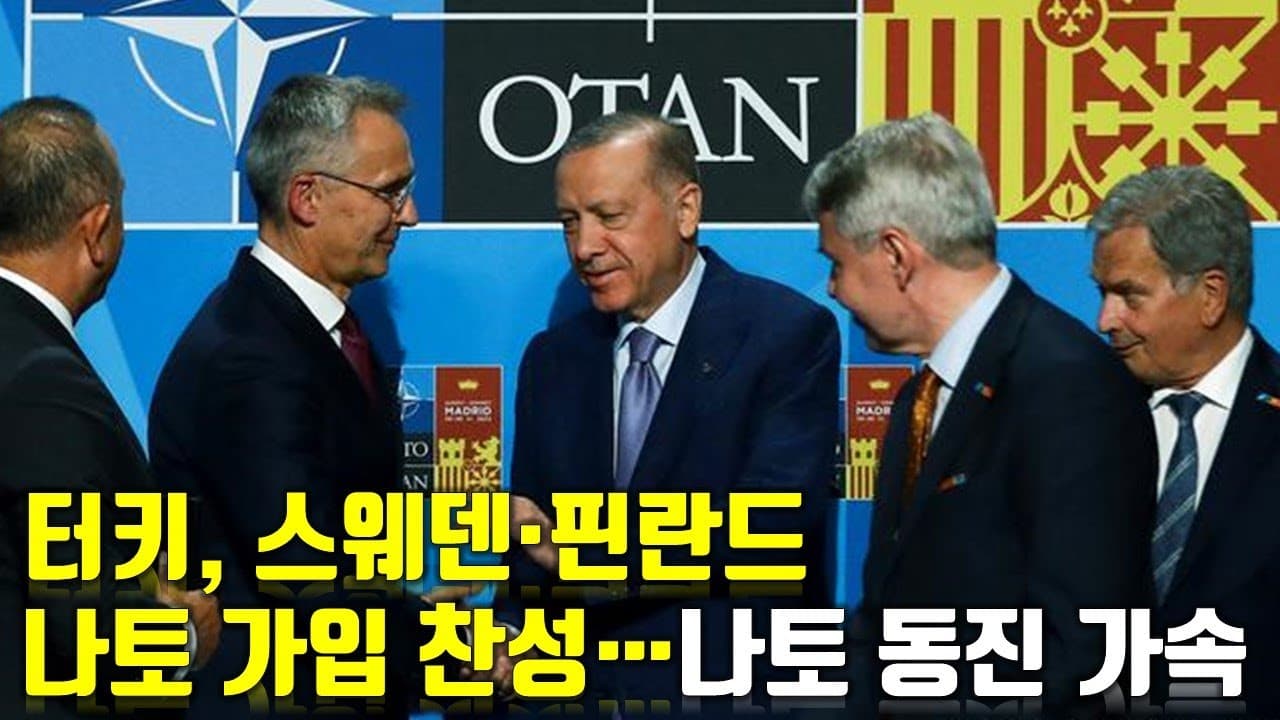 우크라이나 전쟁 전황 정리 125일차 - 터키, 스웨덴·핀란드 나토 가입 찬성...나토 동진 가속화_우크라이나 긴급속보325