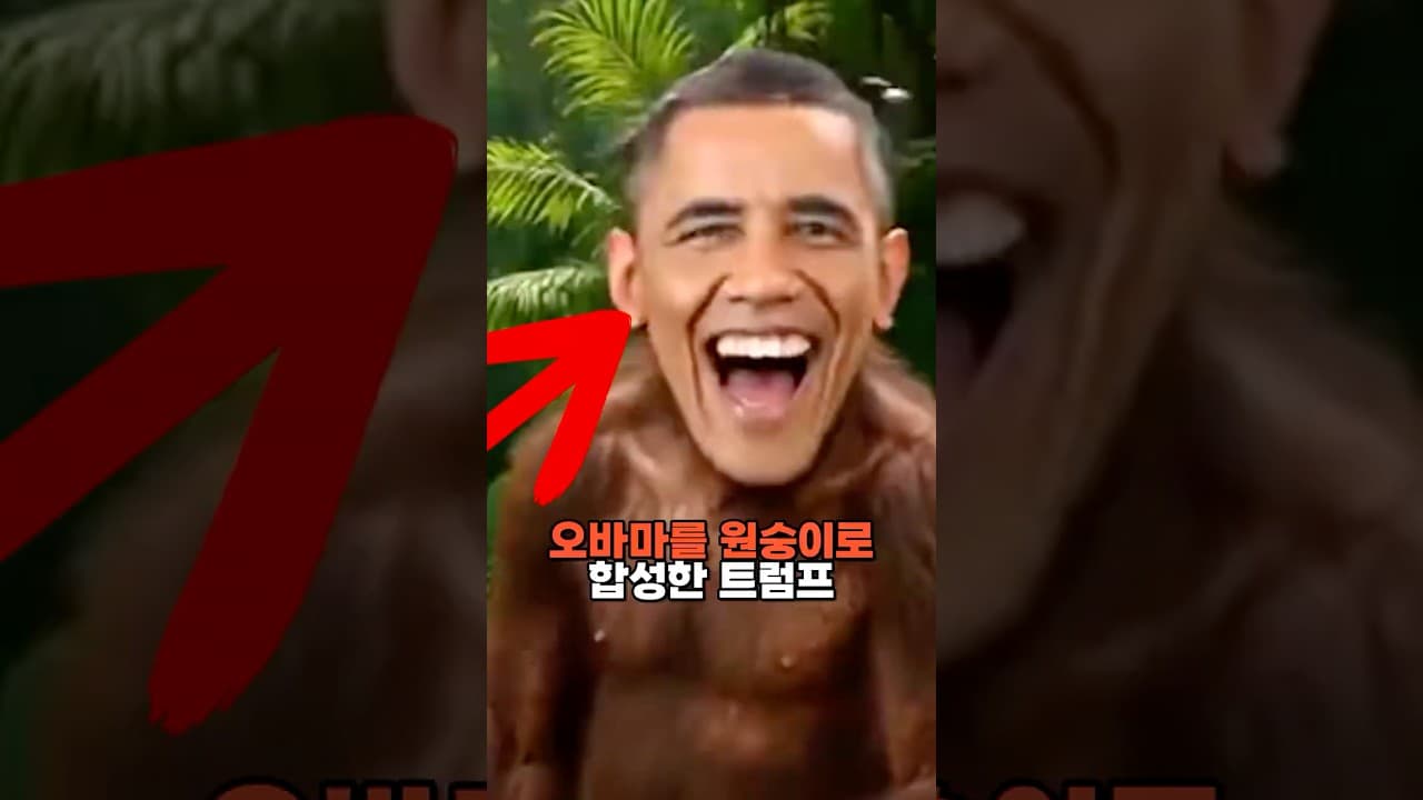 오바마를 원숭이로 합성한 트럼프